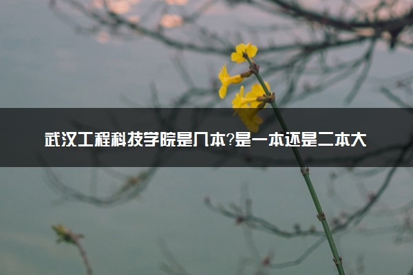 武汉工程科技学院是几本？是一本还是二本大学