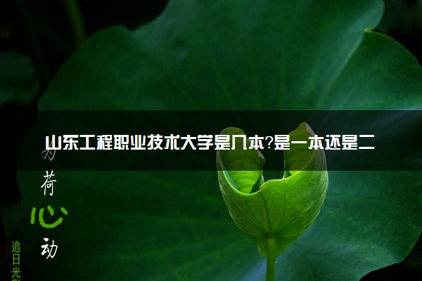 山东工程职业技术大学是几本？是一本还是二本大学