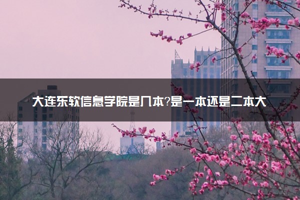 大连东软信息学院是几本？是一本还是二本大学