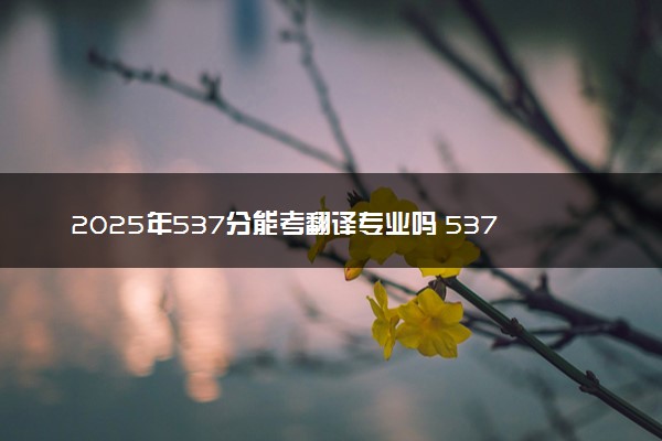 2025年537分能考翻译专业吗 537分翻译专业大学推荐
