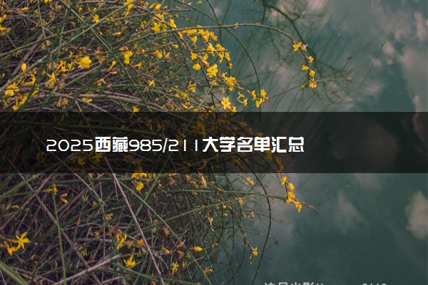 2025西藏985/211大学名单汇总 含院校排名及录取分数线
