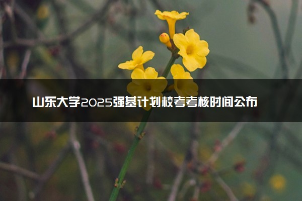 山东大学2025强基计划校考考核时间公布 附考生确认网址时间