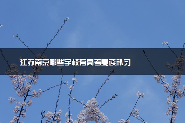 江苏南京哪些学校有高考复读补习