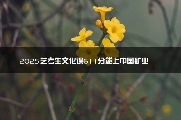 2025艺考生文化课611分能上中国矿业大学吗
