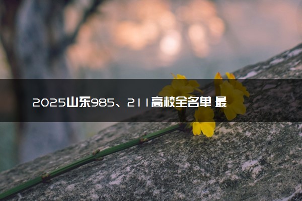 2025山东985、211高校全名单 最值得上的院校推荐
