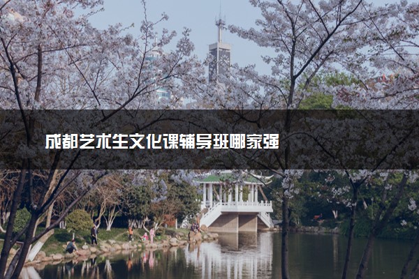 成都艺术生文化课辅导班哪家强