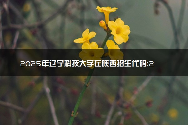 2025年辽宁科技大学在陕西招生代码：2007 专业代码及报考指南