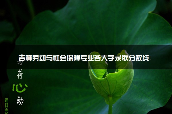 吉林劳动与社会保障专业各大学录取分数线：最低374分能上 开设院校及位次
