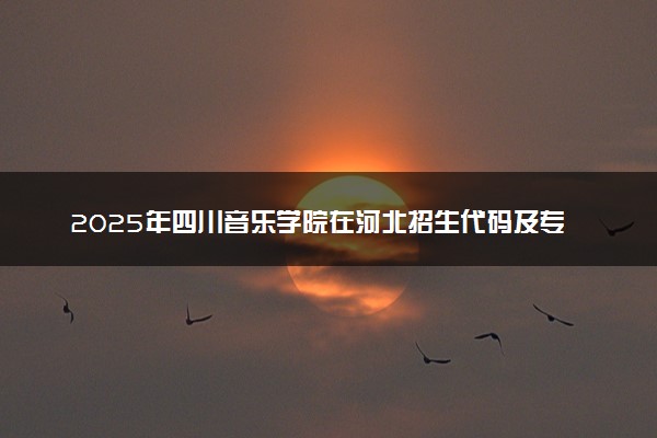 2025年四川音乐学院在河北招生代码及专业代码 四川音乐学院河北代码是多少？怎么查询？