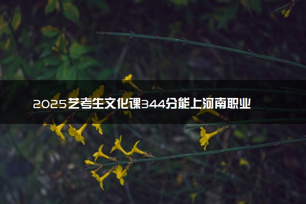 2025艺考生文化课344分能上河南职业技术学院吗