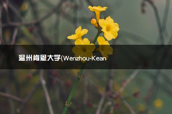 温州肯恩大学（Wenzhou-Kean University）怎么样？