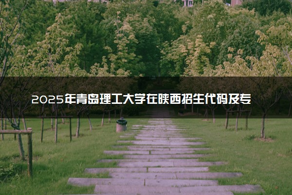2025年青岛理工大学在陕西招生代码及专业代码 青岛理工大学陕西代码是多少？怎么查询？