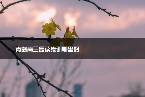 青岛高三复读集训哪里好