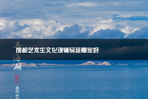 成都艺术生文化课辅导班哪家好