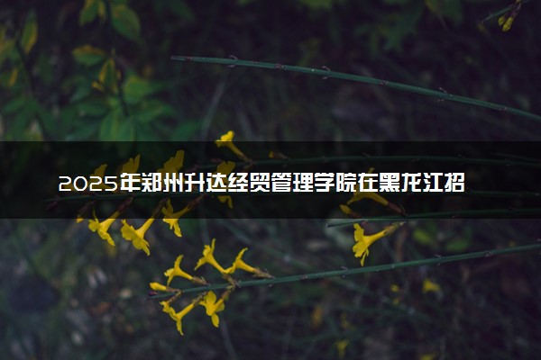 2025年郑州升达经贸管理学院在黑龙江招生代码及专业代码 郑州升达经贸管理学院黑龙江代码是多少？怎么查询？