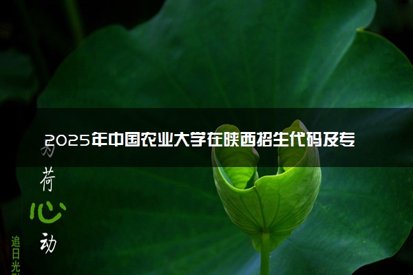 2025年中国农业大学在陕西招生代码及专业代码 中国农业大学陕西代码是多少？怎么查询？