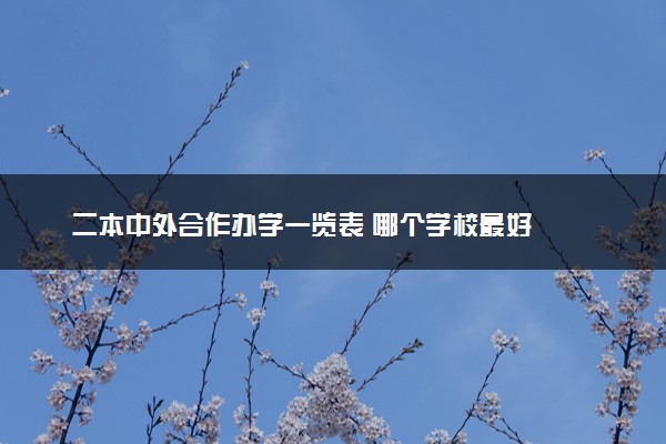 二本中外合作办学一览表 哪个学校最好