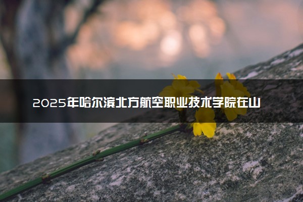 2025年哈尔滨北方航空职业技术学院在山西招生代码：5103 专业代码及报考指南