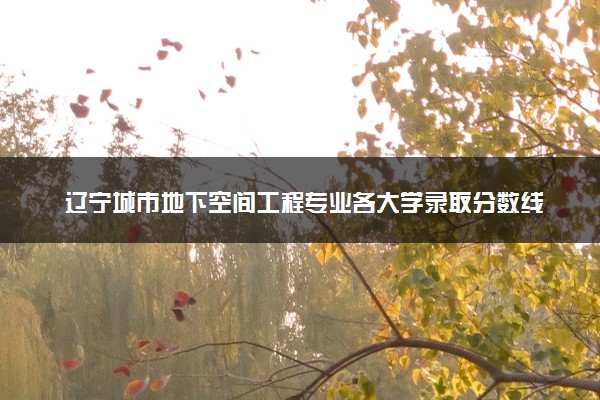 辽宁城市地下空间工程专业各大学录取分数线：最低386分能上 开设院校及位次