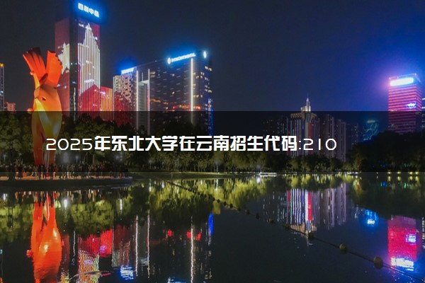2025年东北大学在云南招生代码：2106 专业代码及报考指南