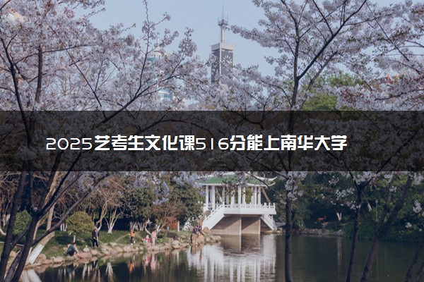 2025艺考生文化课516分能上南华大学吗
