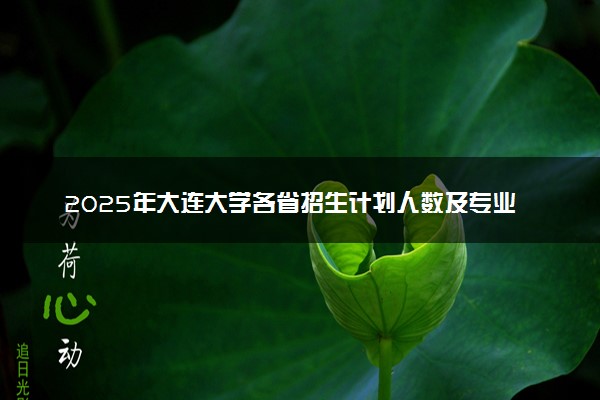 2025年大连大学各省招生计划人数及专业代码学费