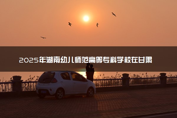2025年湖南幼儿师范高等专科学校在甘肃招生代码：2972 专业代码及报考指南