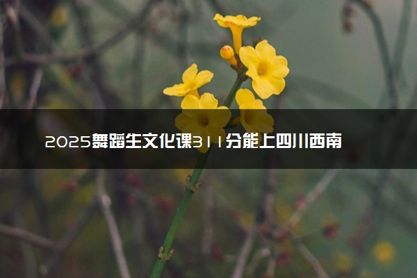 2025舞蹈生文化课311分能上四川西南航空职业学院吗