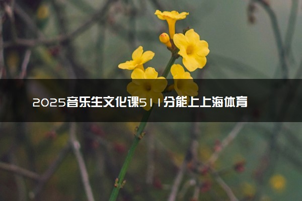 2025音乐生文化课511分能上上海体育大学吗