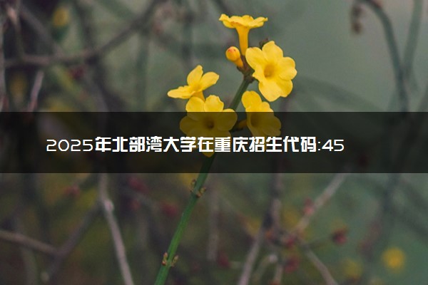 2025年北部湾大学在重庆招生代码：4544 专业代码及报考指南