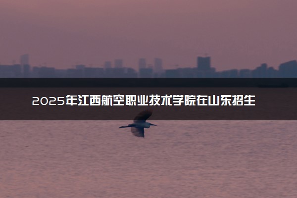 2025年江西航空职业技术学院在山东招生代码及专业代码 江西航空职业技术学院山东代码是多少？怎么查询？