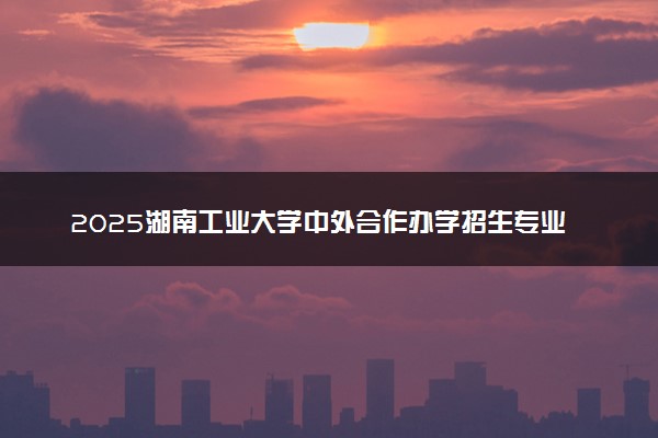 2025湖南工业大学中外合作办学招生专业及计划 最新收费标准