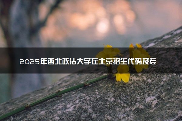 2025年西北政法大学在北京招生代码及专业代码 西北政法大学北京代码是多少？怎么查询？