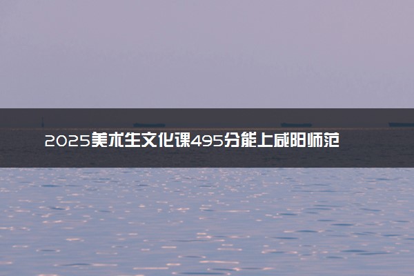 2025美术生文化课495分能上咸阳师范学院吗
