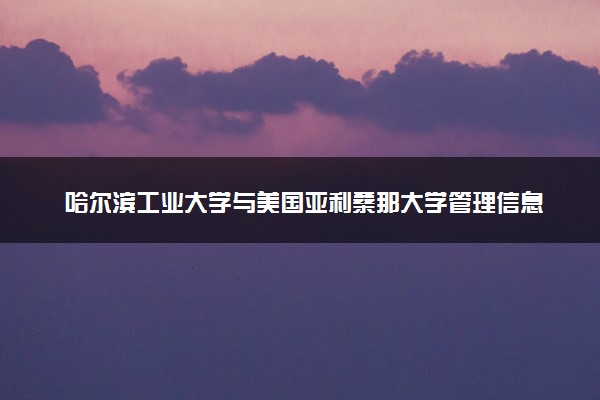 哈尔滨工业大学与美国亚利桑那大学管理信息系统硕士学位教育项目的含金量