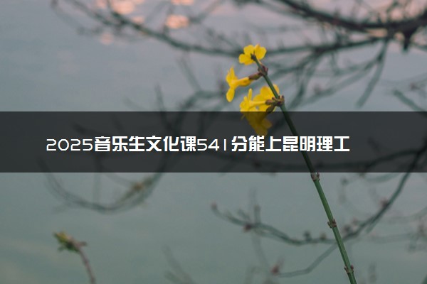 2025音乐生文化课541分能上昆明理工大学吗