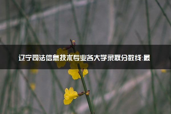 辽宁司法信息技术专业各大学录取分数线：最低359分能上 开设院校及位次