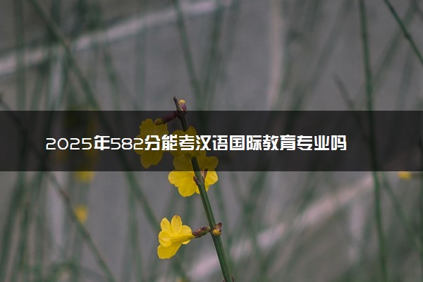 2025年582分能考汉语国际教育专业吗 582分汉语国际教育专业大学推荐