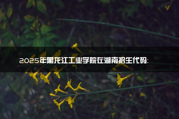 2025年黑龙江工业学院在湖南招生代码：2325 专业代码及报考指南
