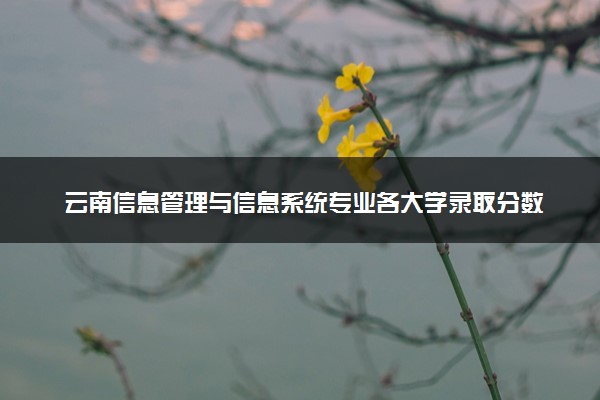 云南信息管理与信息系统专业各大学录取分数线：最低380分能上 开设院校及位次
