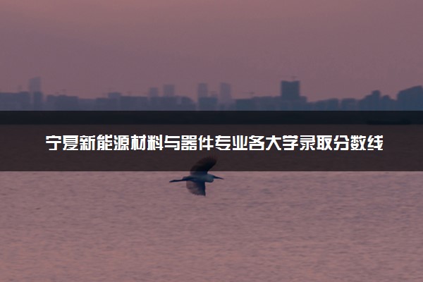宁夏新能源材料与器件专业各大学录取分数线：最低387分能上 开设院校及位次