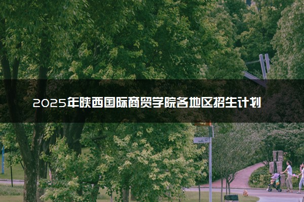 2025年陕西国际商贸学院各地区招生计划及各专业分省招生人数是多少？(附学费及专业代码)