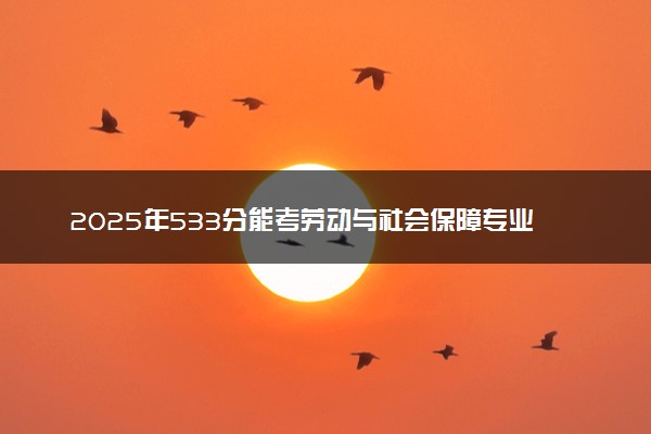 2025年533分能考劳动与社会保障专业吗 533分劳动与社会保障专业大学推荐