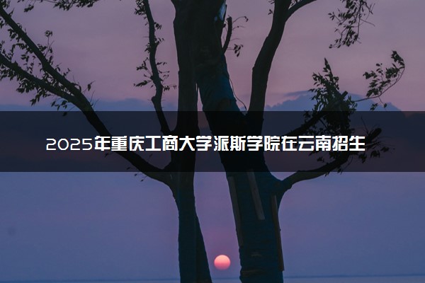 2025年重庆工商大学派斯学院在云南招生代码：5031 专业代码及报考指南