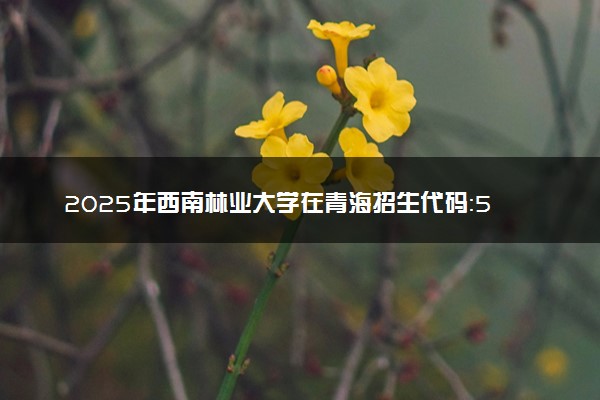 2025年西南林业大学在青海招生代码：5232 专业代码及报考指南