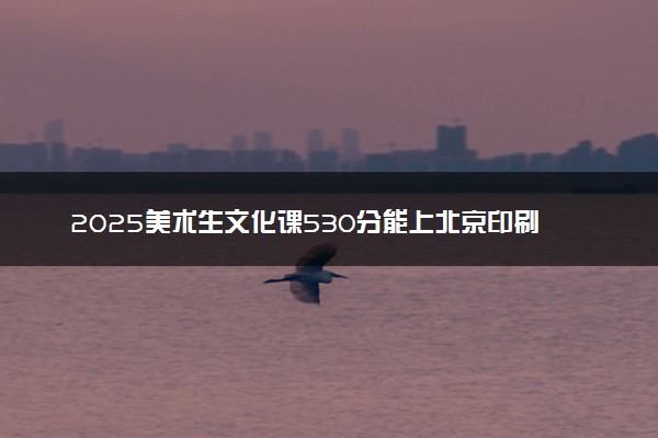 2025美术生文化课530分能上北京印刷学院吗