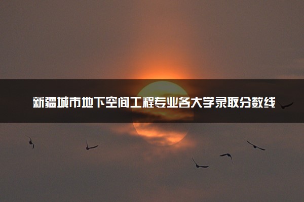 新疆城市地下空间工程专业各大学录取分数线：最低264分能上 开设院校及位次
