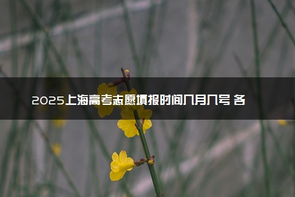 2025上海高考志愿填报时间几月几号 各批次志愿具体填报时间安排表