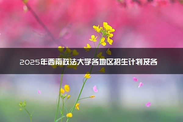 2025年西南政法大学各地区招生计划及各专业分省招生人数是多少？(附学费及专业代码)