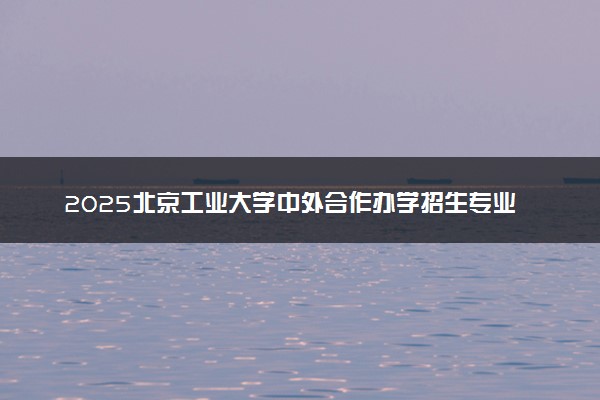 2025北京工业大学中外合作办学招生专业及计划 学费多少钱